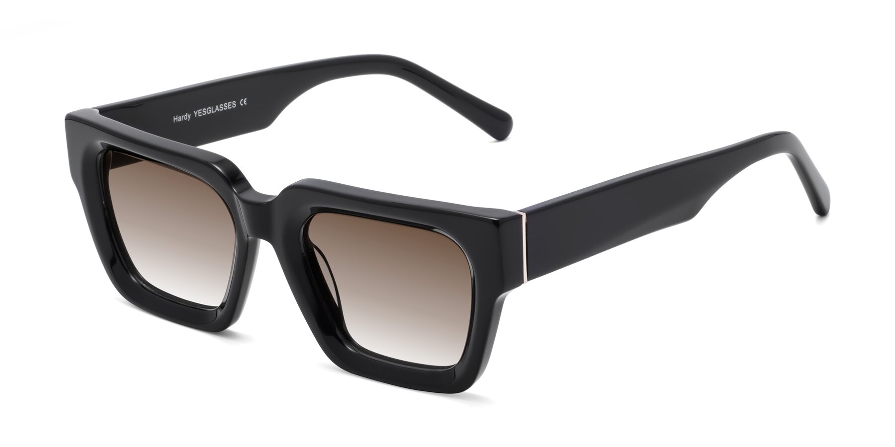 Angle of Hardy in Black with Brown Gradient Lenses