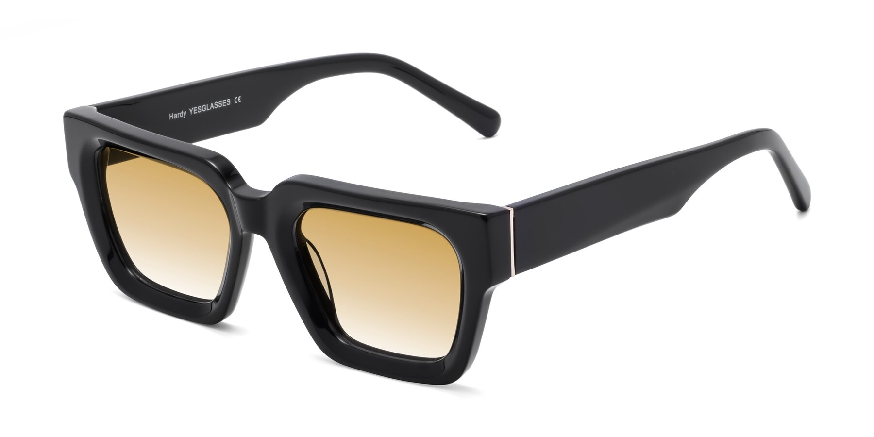 Angle of Hardy in Black with Champagne Gradient Lenses