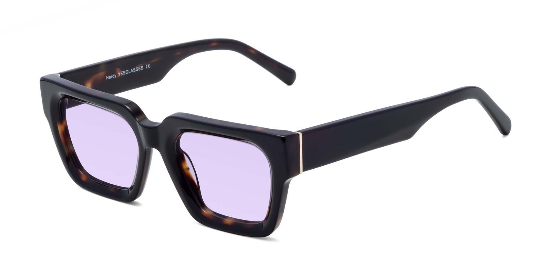 Angle of Hardy in Tortoise with Light Purple Tinted Lenses