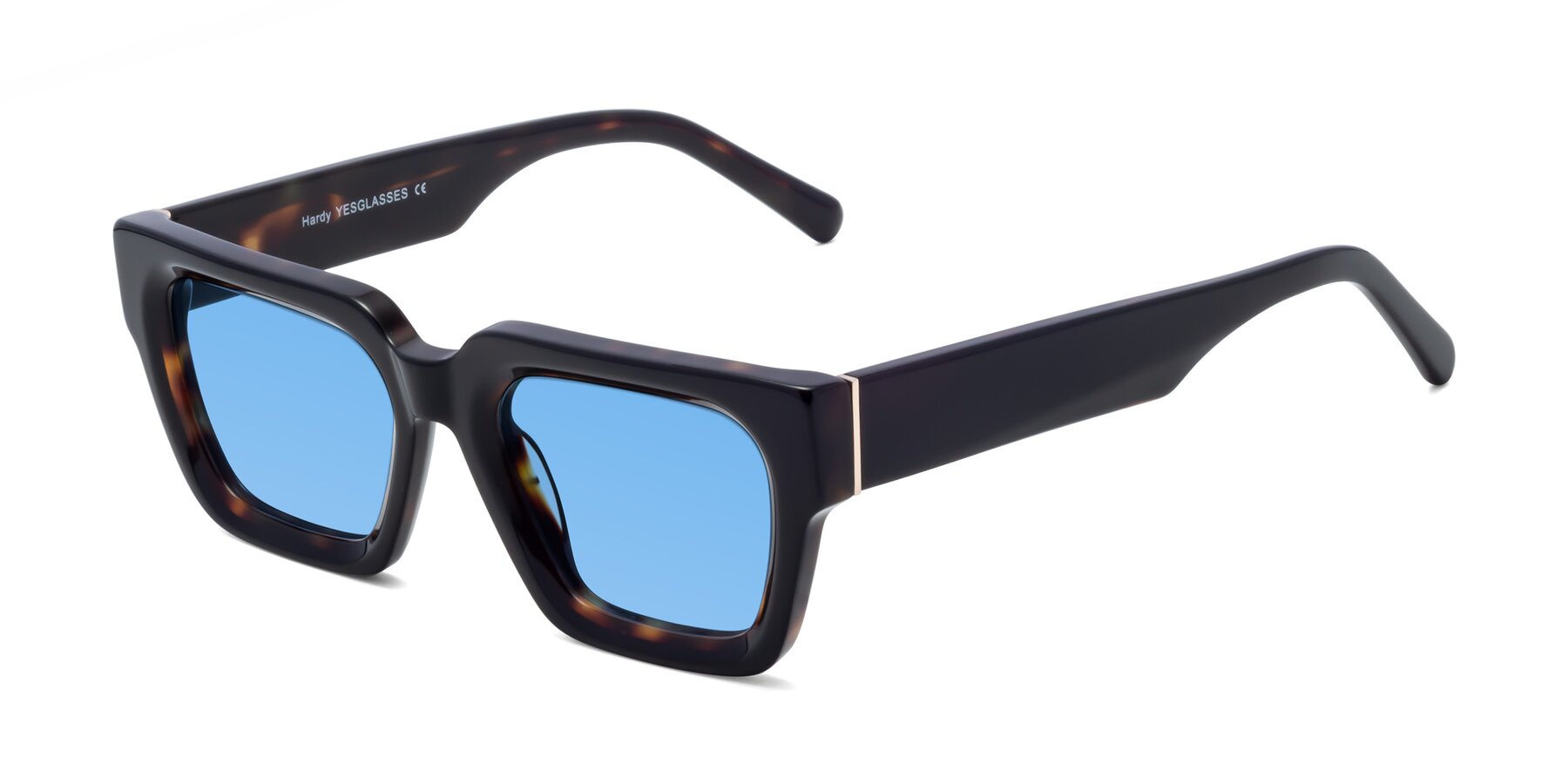 Angle of Hardy in Tortoise with Medium Blue Tinted Lenses