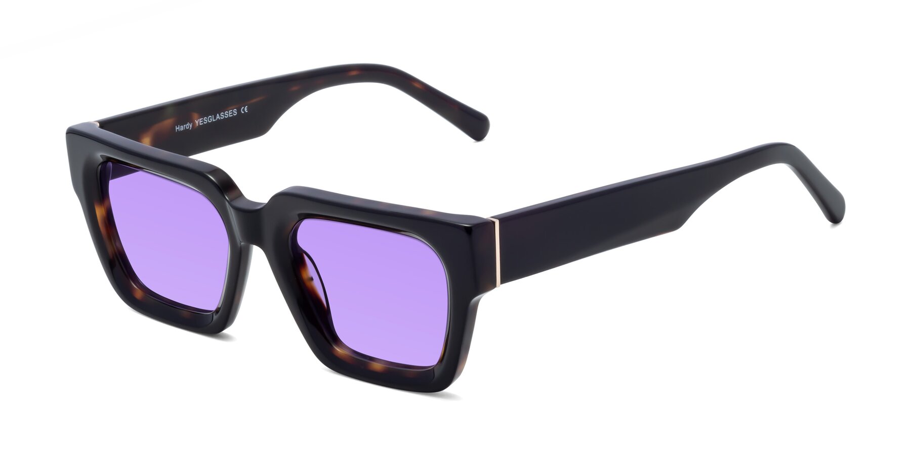 Angle of Hardy in Tortoise with Medium Purple Tinted Lenses