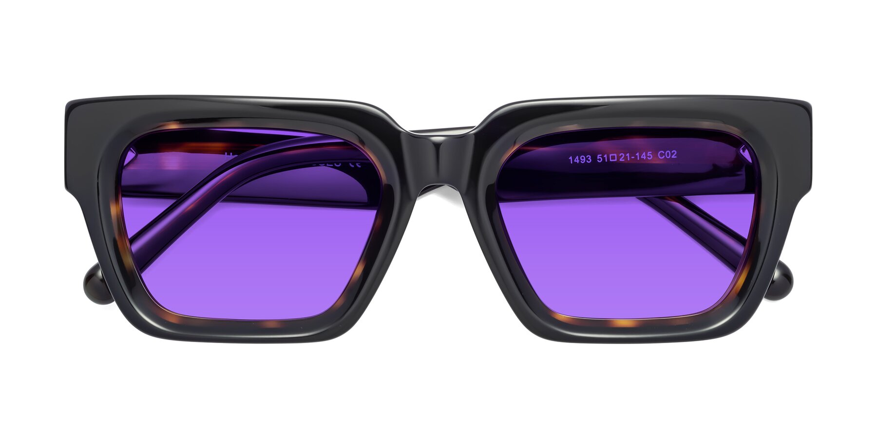 Folded Front of Hardy in Tortoise with Purple Tinted Lenses