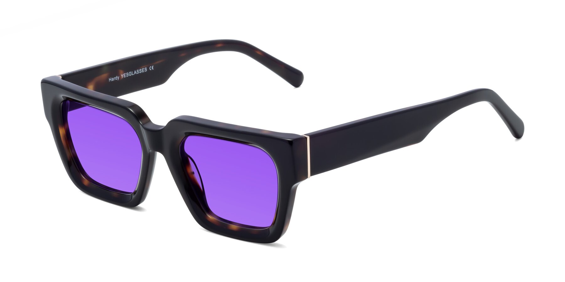 Angle of Hardy in Tortoise with Purple Tinted Lenses