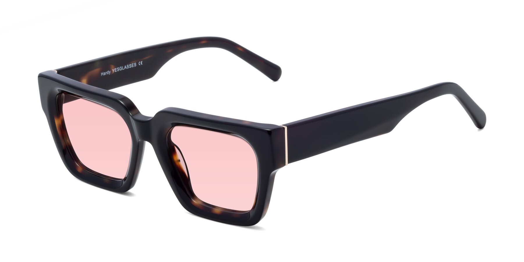 Angle of Hardy in Tortoise with Light Garnet Tinted Lenses