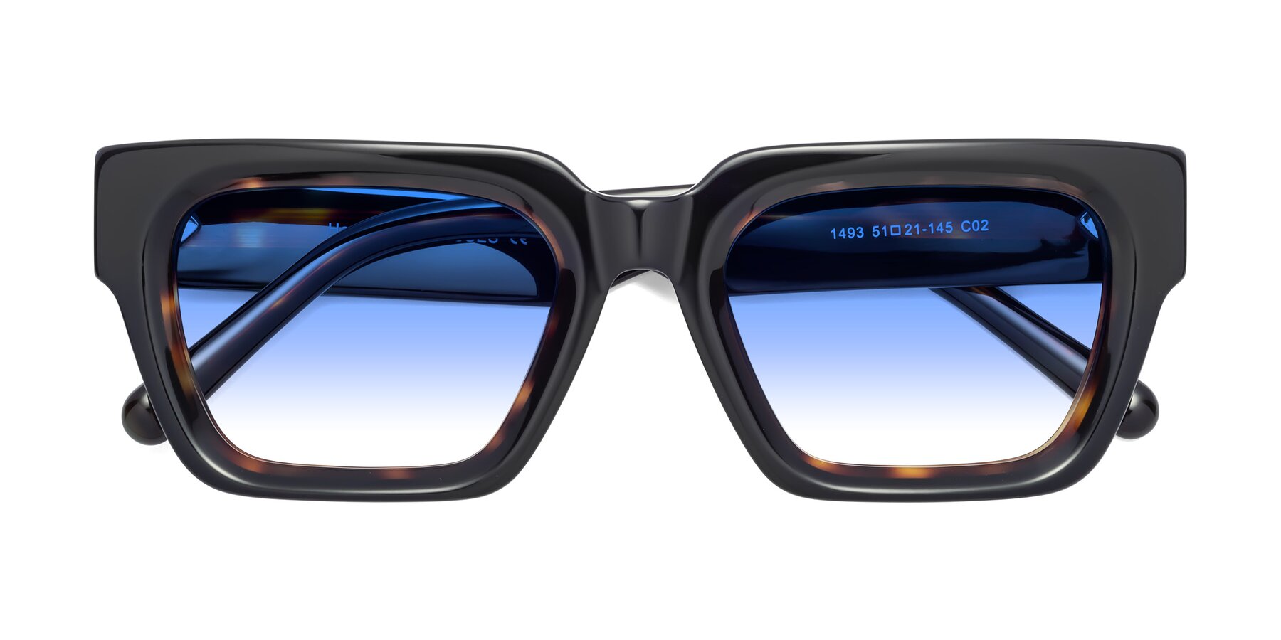 Folded Front of Hardy in Tortoise with Blue Gradient Lenses