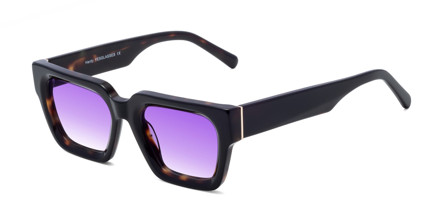 Angle of Hardy in Tortoise with Purple Gradient Lenses