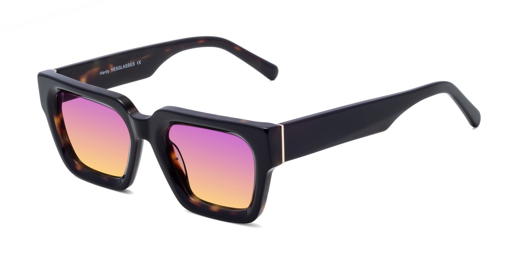 Angle of Hardy in Tortoise with Purple / Yellow Gradient Lenses
