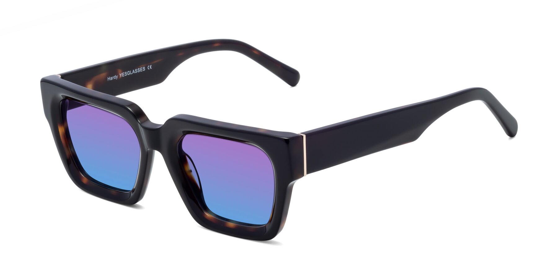 Angle of Hardy in Tortoise with Purple / Blue Gradient Lenses