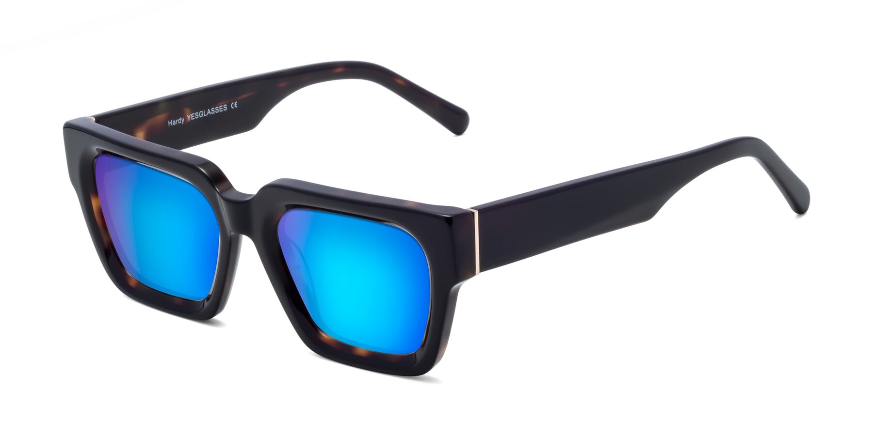Angle of Hardy in Tortoise with Blue Mirrored Lenses