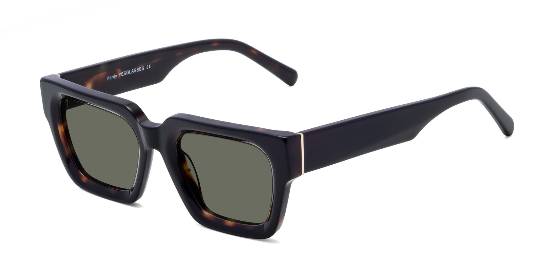 Angle of Hardy in Tortoise with Gray Polarized Lenses