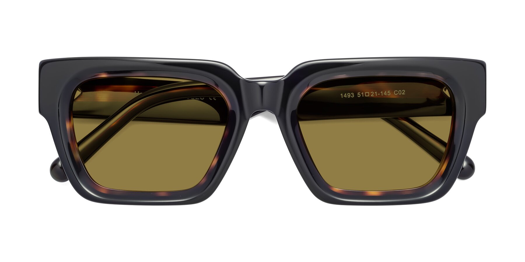 Folded Front of Hardy in Tortoise with Brown Polarized Lenses
