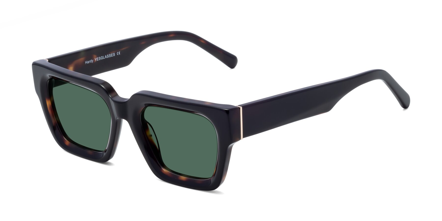 Angle of Hardy in Tortoise with Green Polarized Lenses