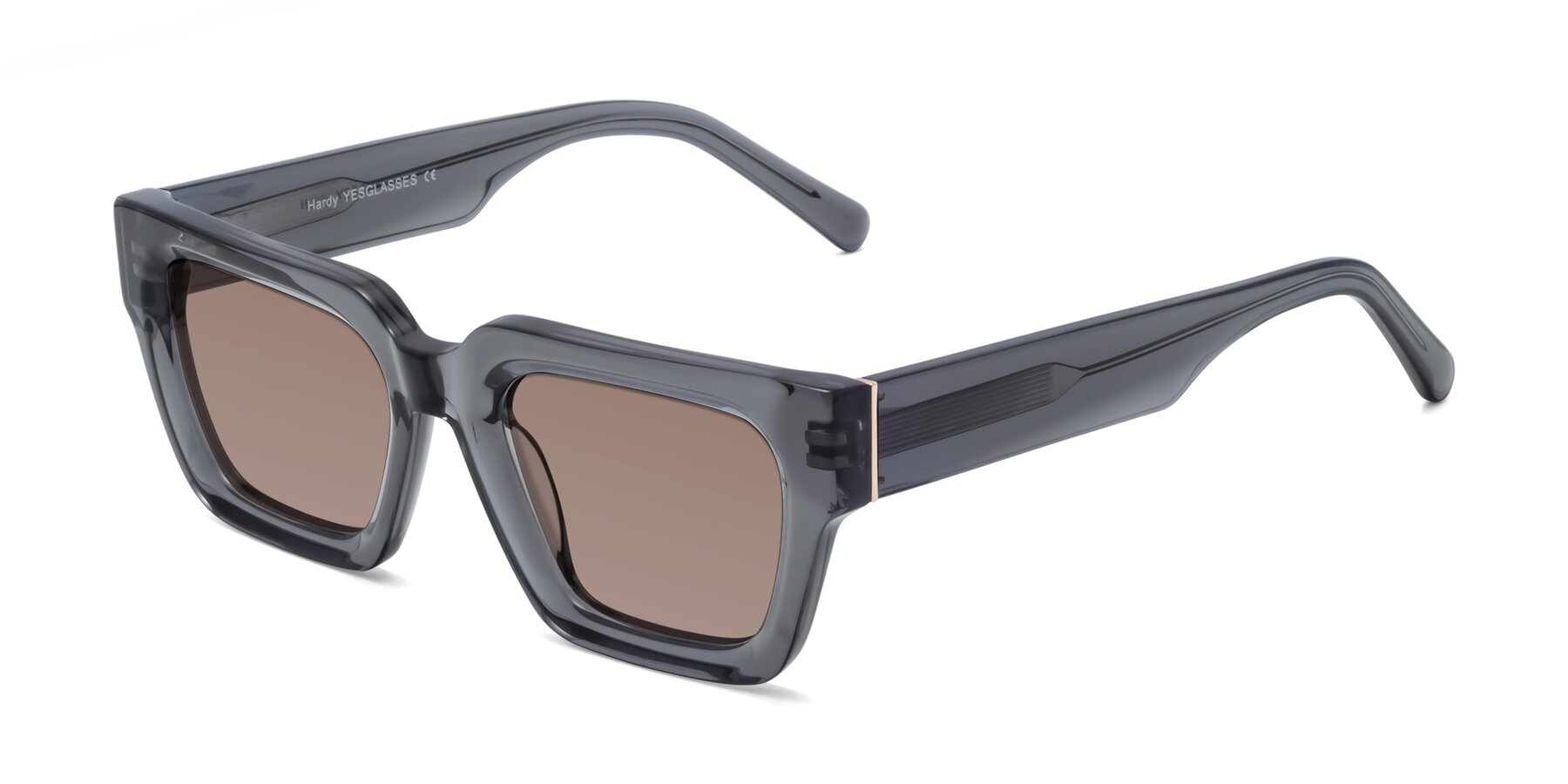 Angle of Hardy in Translucent Gray with Medium Brown Tinted Lenses