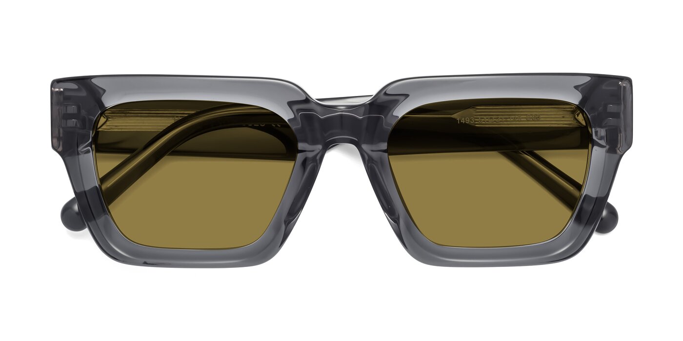 Hardy - Translucent Gray Polarized Sunglasses