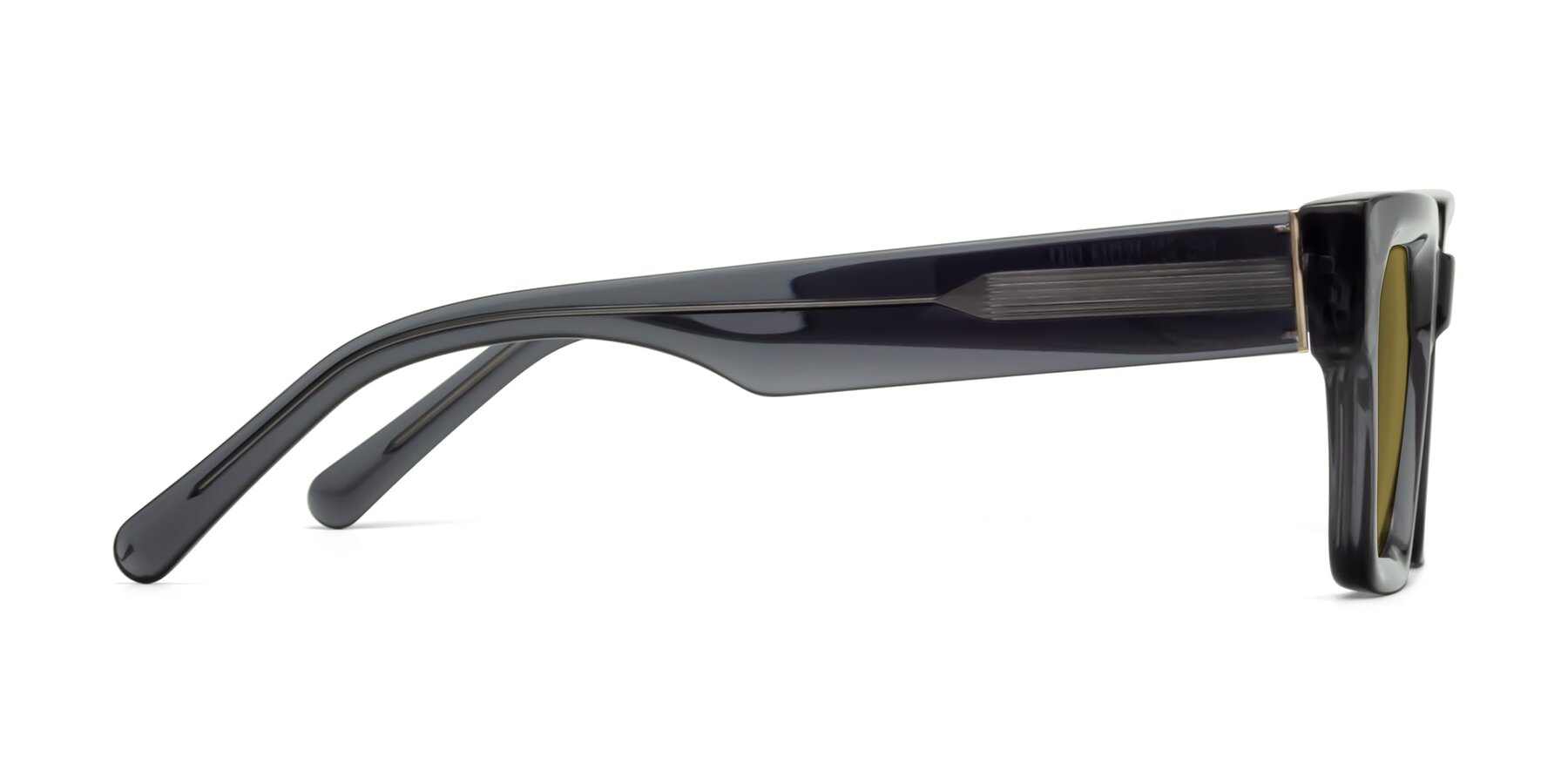 Side of Hardy in Translucent Gray with Brown Polarized Lenses