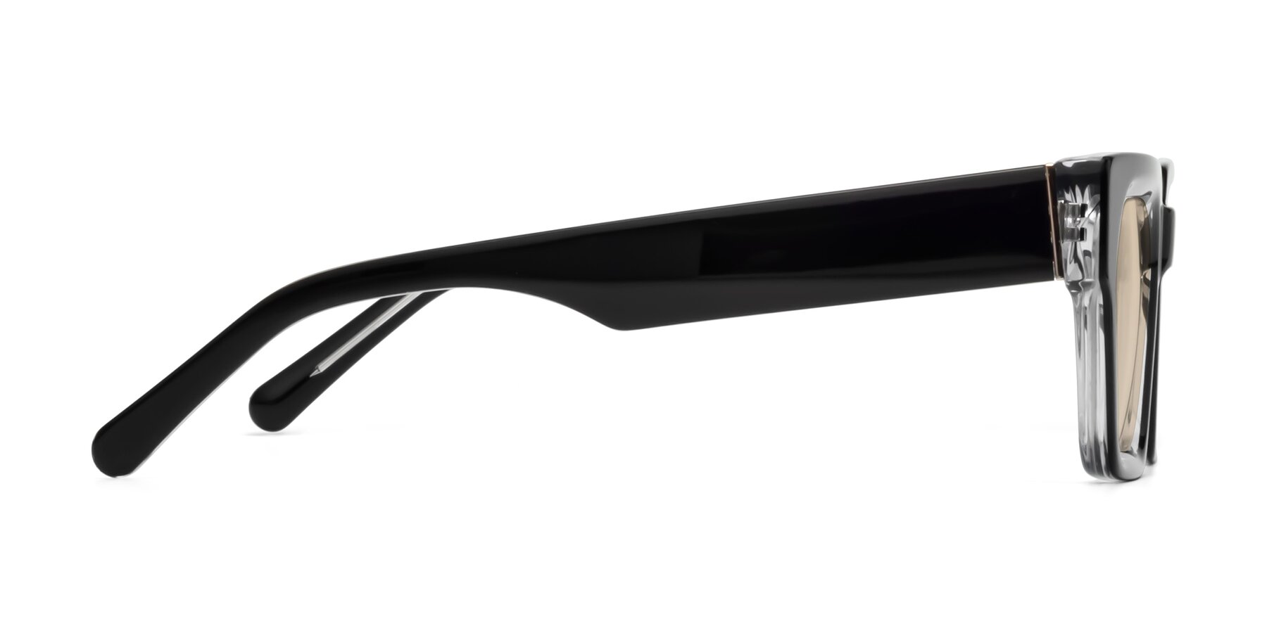 Side of Hardy in Black-Clear with Light Brown Tinted Lenses