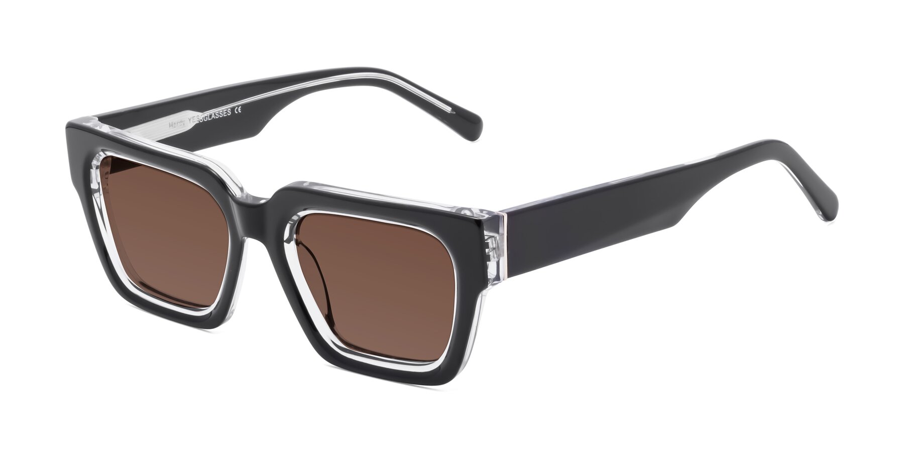 Angle of Hardy in Black-Clear with Brown Tinted Lenses