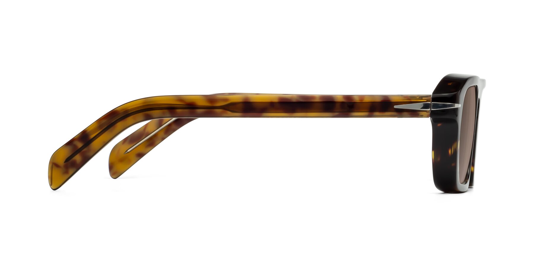 Side of Evette in Tortoise with Medium Brown Tinted Lenses