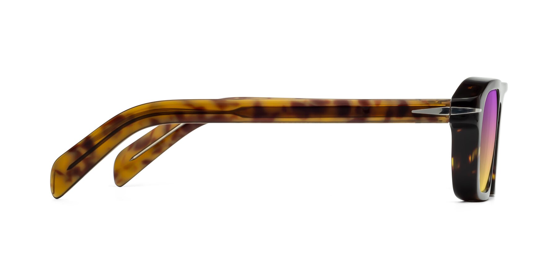 Side of Evette in Tortoise with Purple / Yellow Gradient Lenses