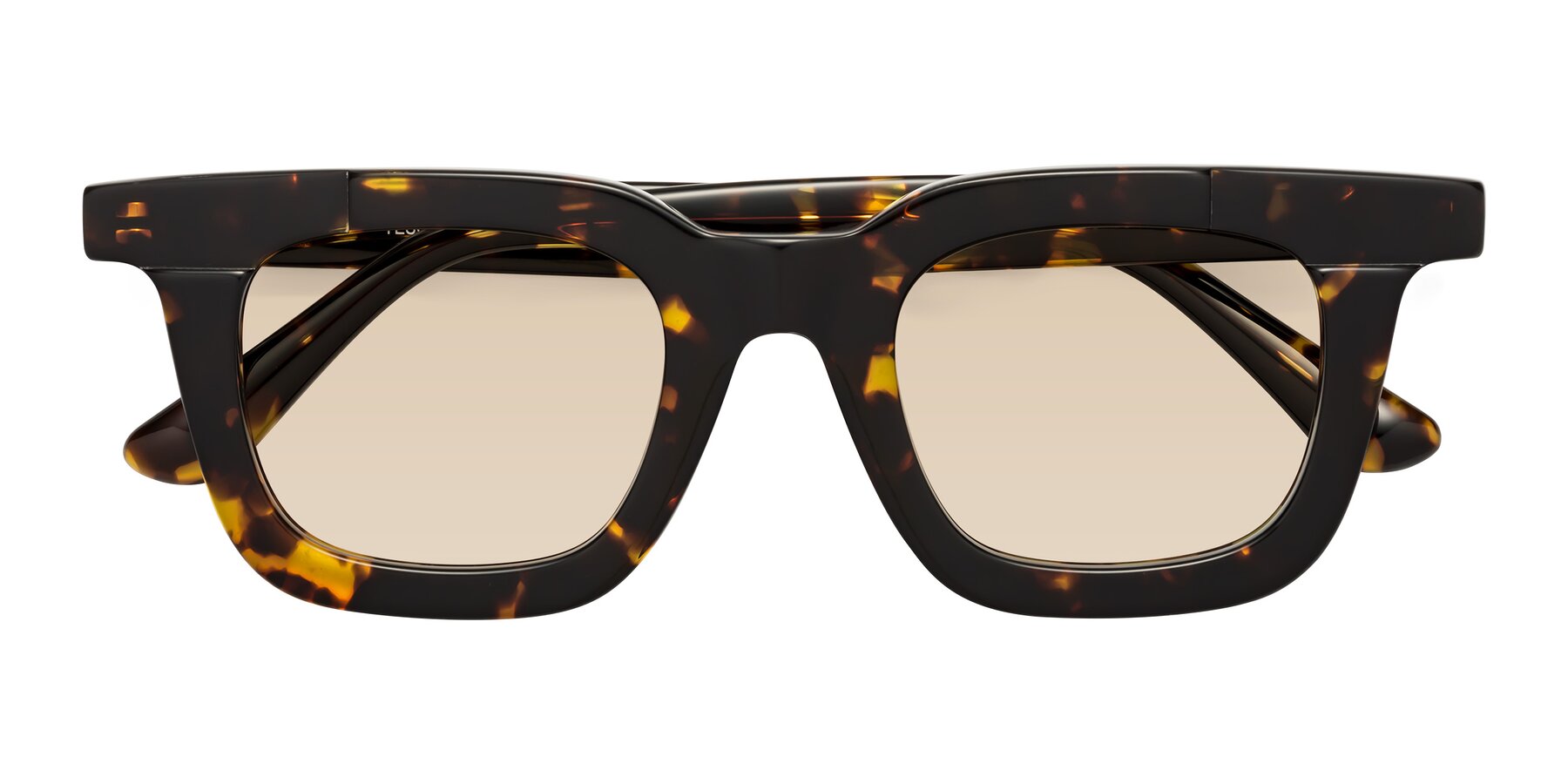 Folded Front of Mill in Tortoise with Light Brown Tinted Lenses