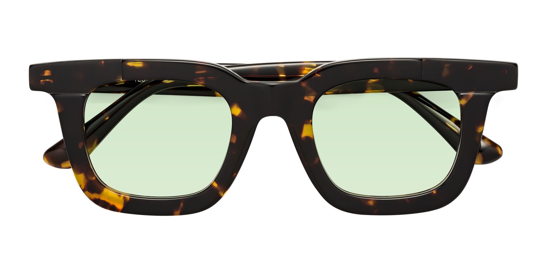 Folded Front of Mill in Tortoise with Light Green Tinted Lenses