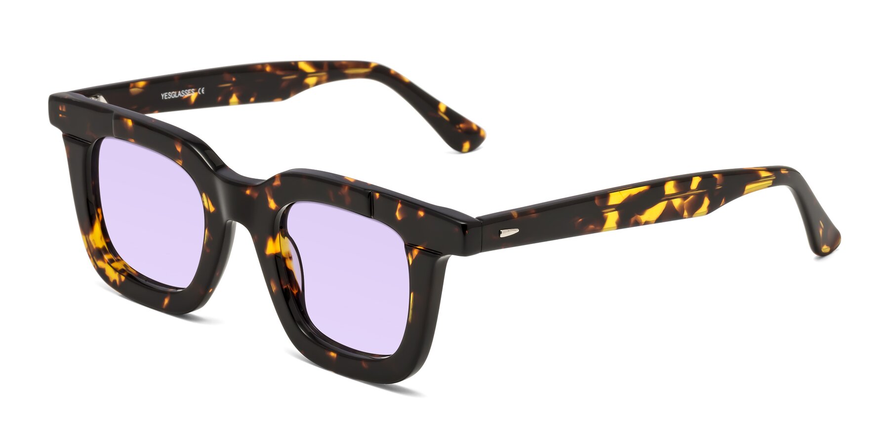 Angle of Mill in Tortoise with Light Purple Tinted Lenses