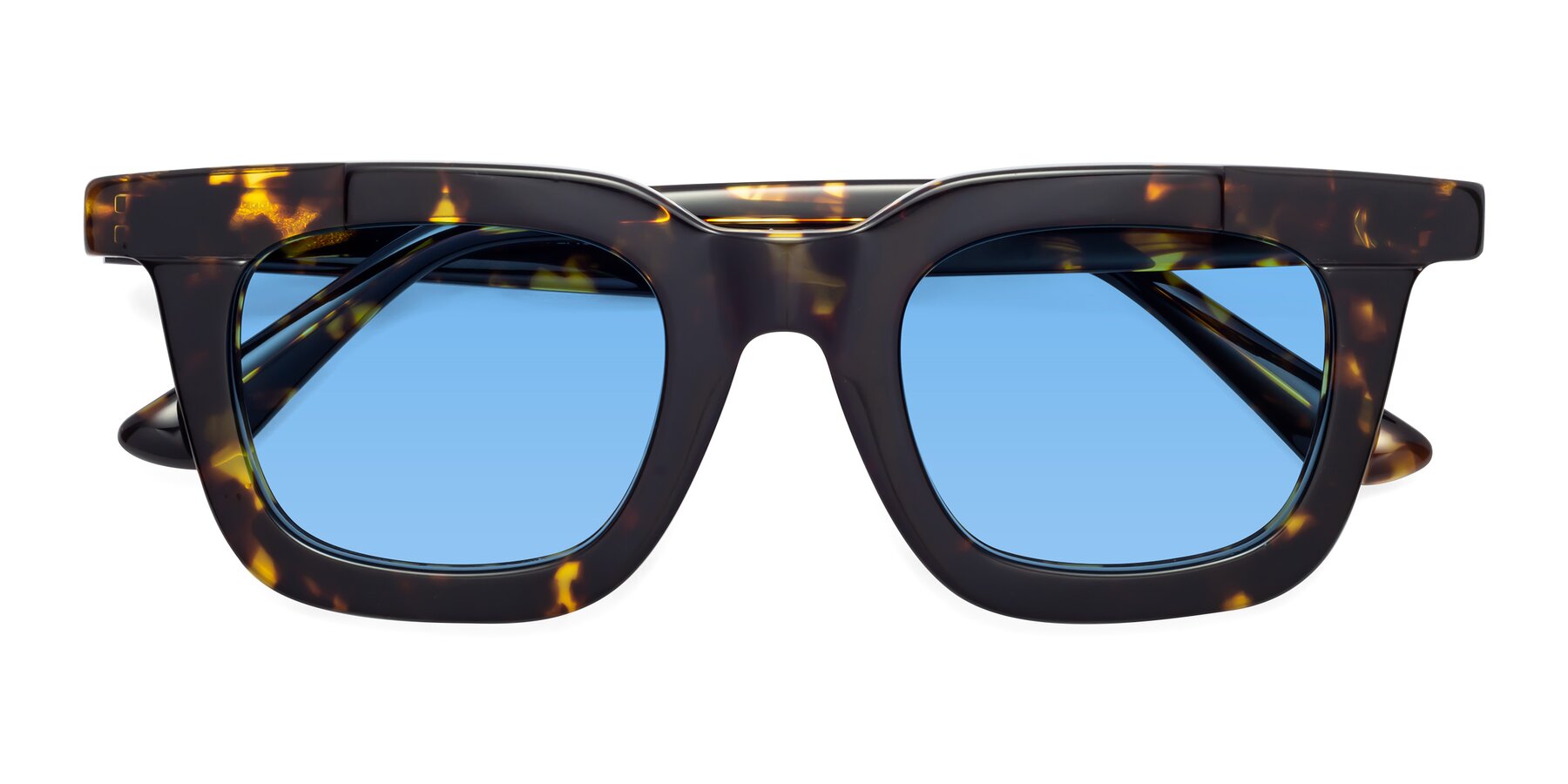 Folded Front of Mill in Tortoise with Medium Blue Tinted Lenses