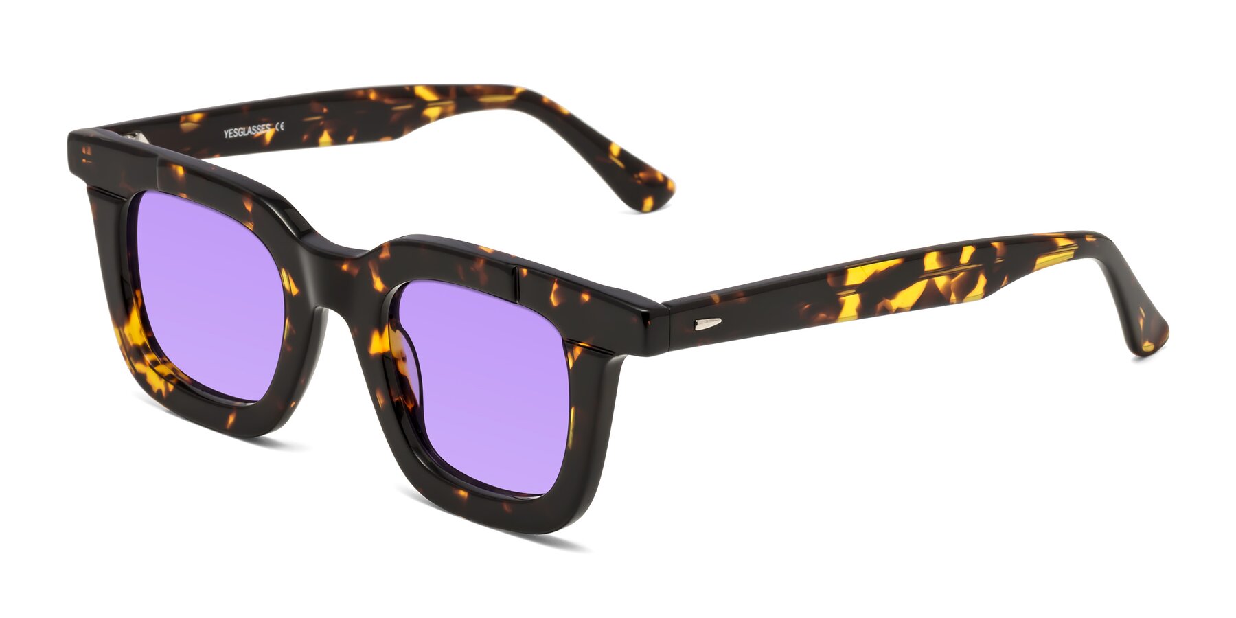 Angle of Mill in Tortoise with Medium Purple Tinted Lenses