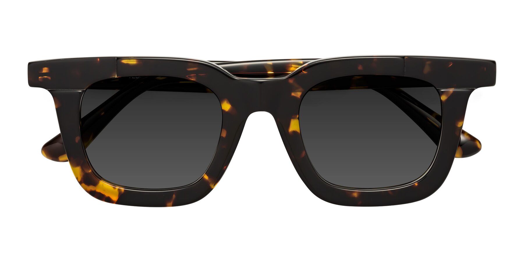 Folded Front of Mill in Tortoise with Gray Tinted Lenses