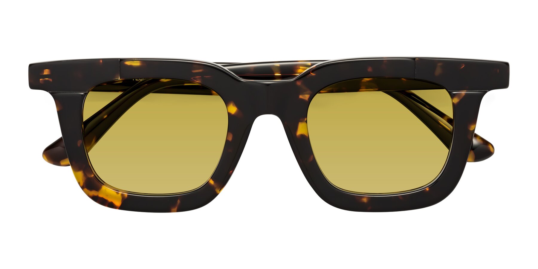 Folded Front of Mill in Tortoise with Champagne Tinted Lenses