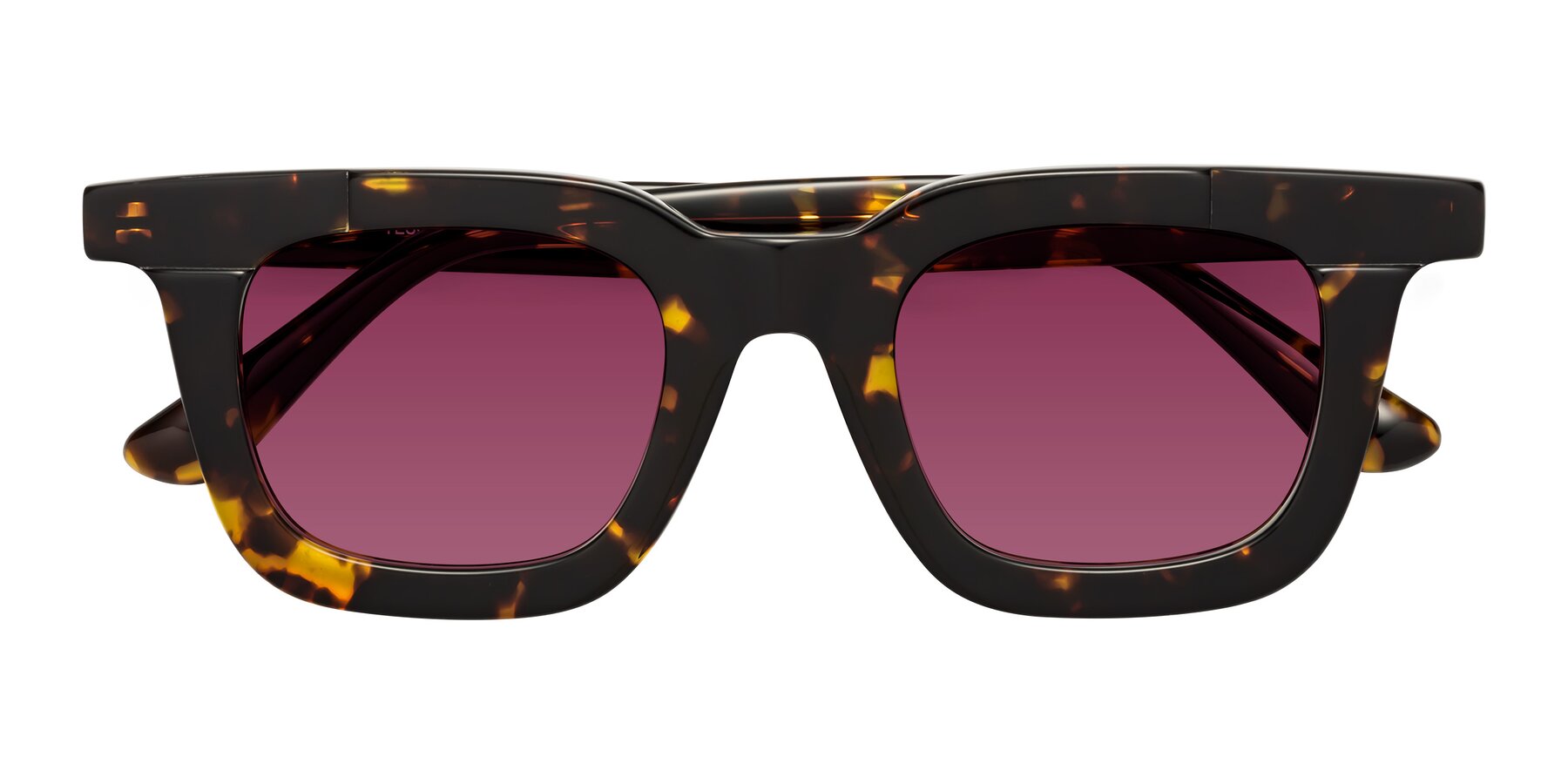 Folded Front of Mill in Tortoise with Wine Tinted Lenses