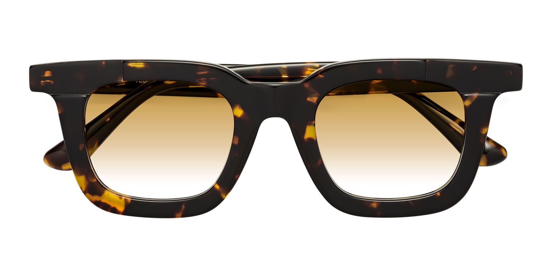 Folded Front of Mill in Tortoise with Champagne Gradient Lenses
