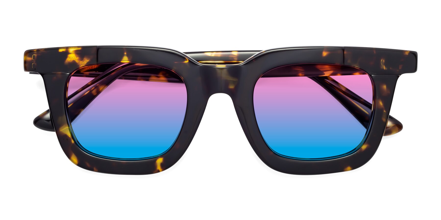 Folded Front of Mill in Tortoise with Pink / Blue Gradient Lenses