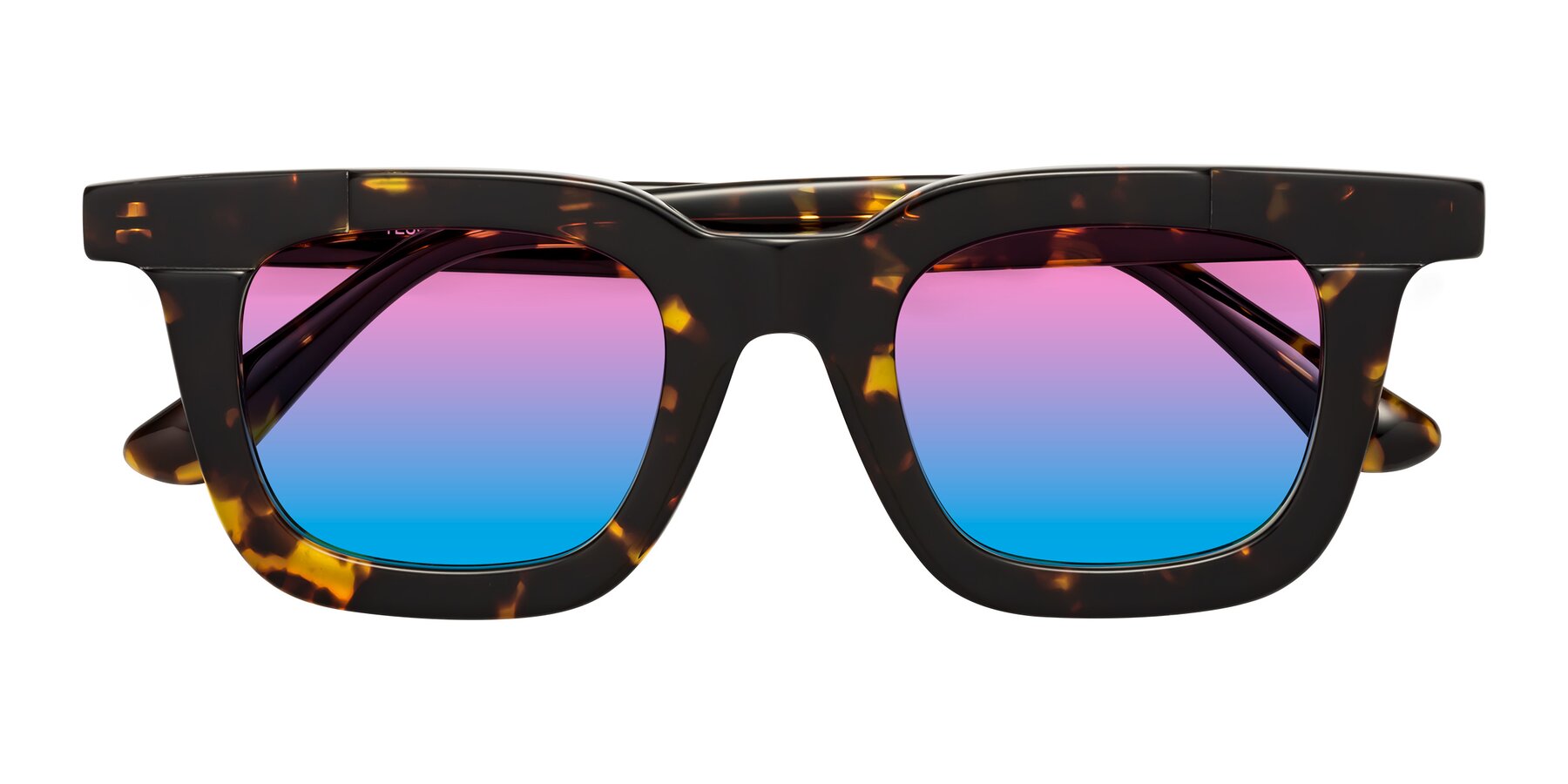 Folded Front of Mill in Tortoise with Pink / Blue Gradient Lenses
