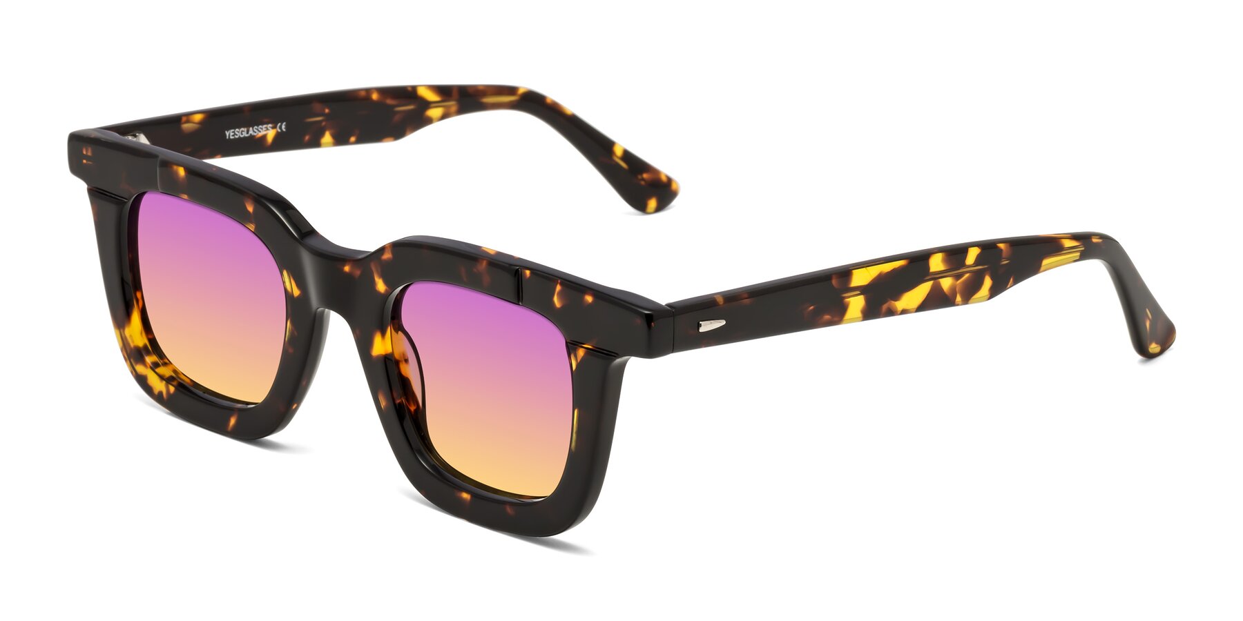 Angle of Mill in Tortoise with Purple / Yellow Gradient Lenses