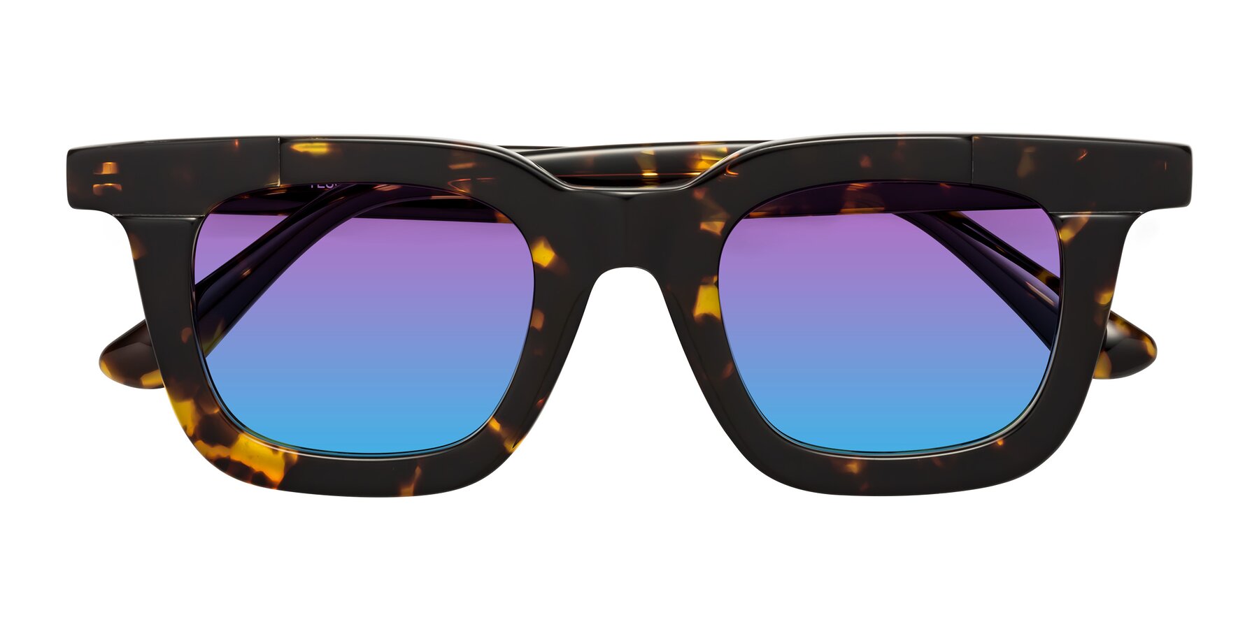 Folded Front of Mill in Tortoise with Purple / Blue Gradient Lenses