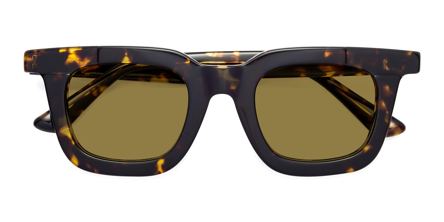 Folded Front of Mill in Tortoise with Brown Polarized Lenses