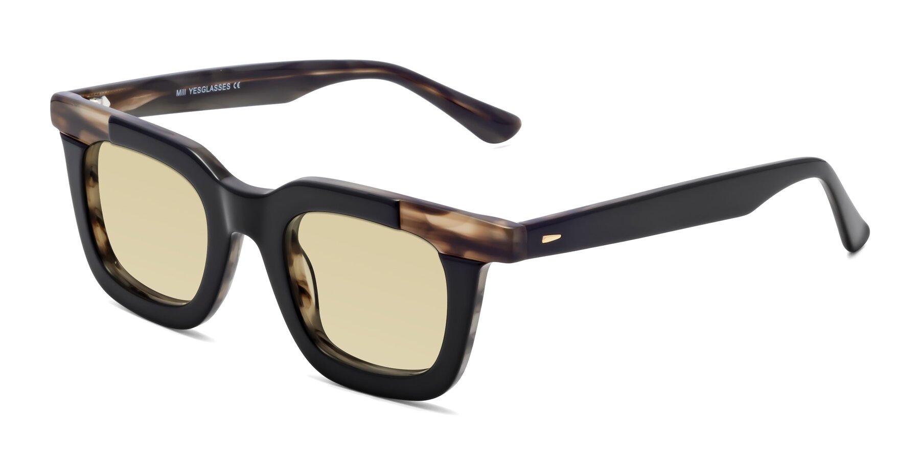 Angle of Mill in Black-Brown with Light Champagne Tinted Lenses