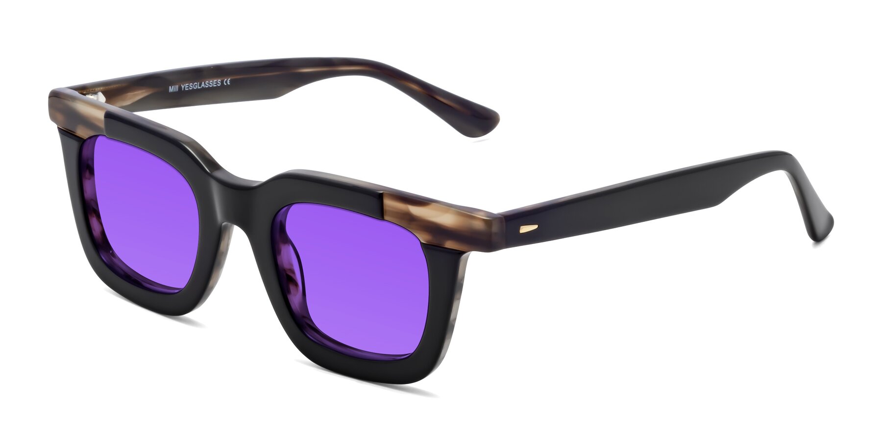 Angle of Mill in Black-Brown with Purple Tinted Lenses
