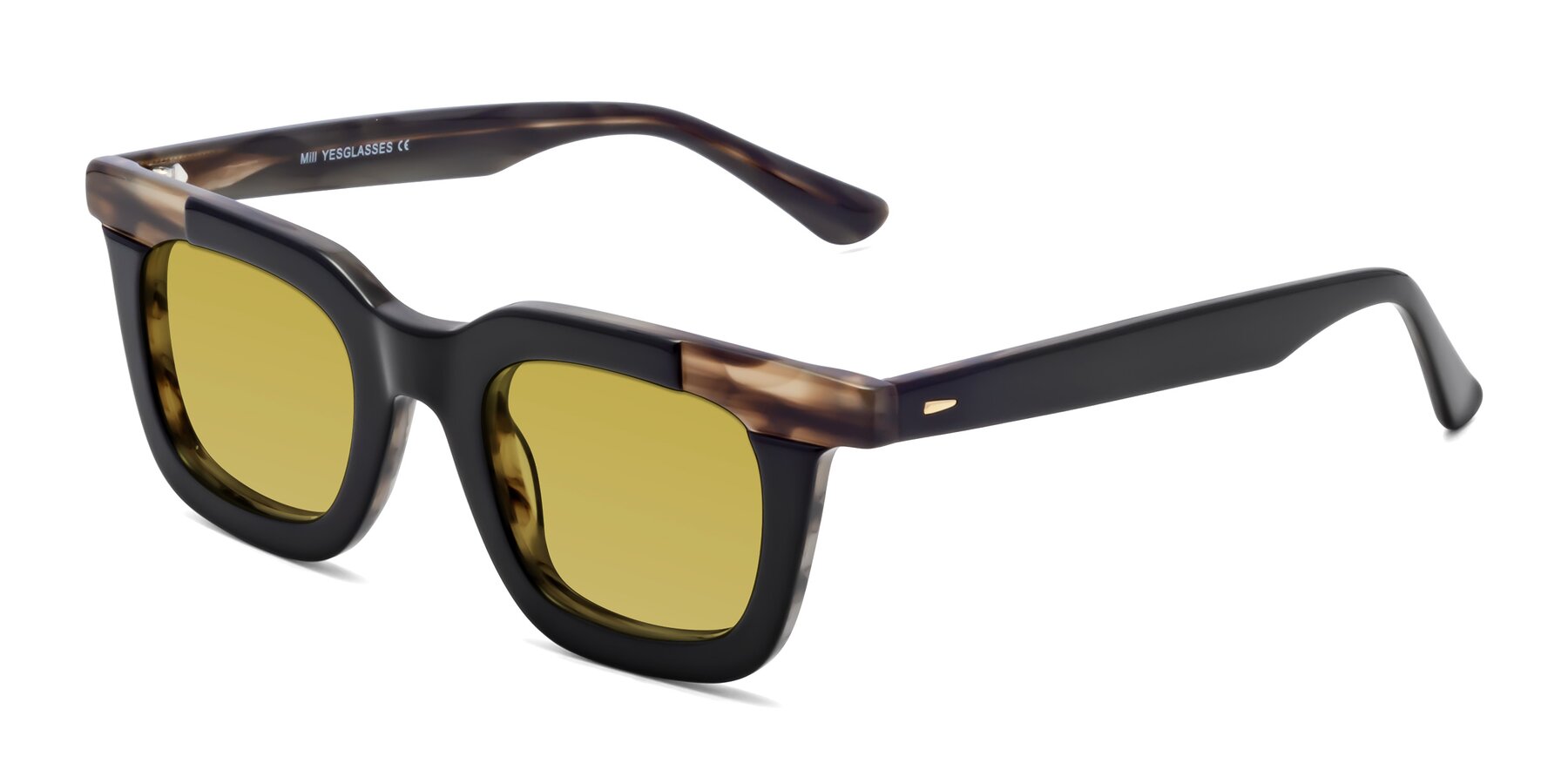 Angle of Mill in Black-Brown with Champagne Tinted Lenses