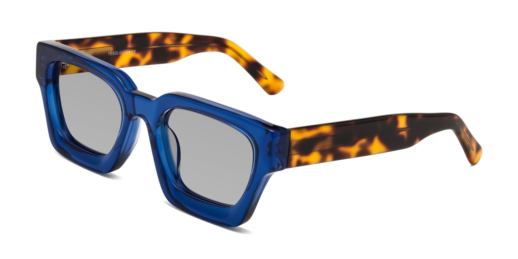Angle of Powers in Blue-Tortoise with Light Gray Tinted Lenses