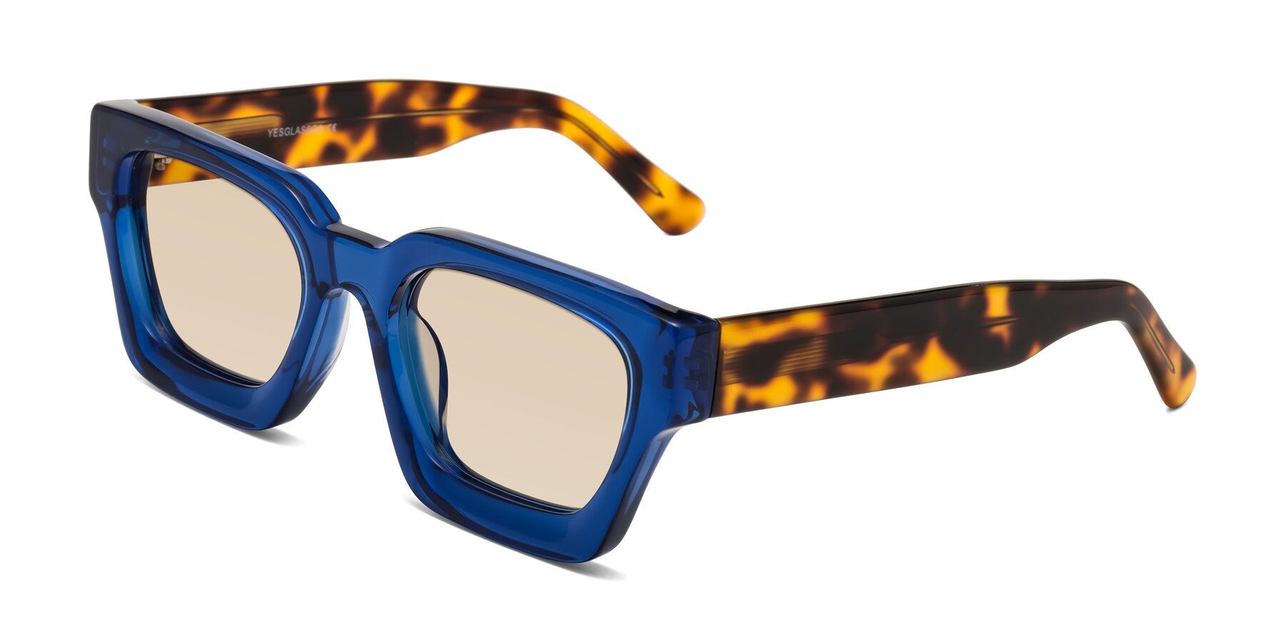 Angle of Powers in Blue-Tortoise with Light Brown Tinted Lenses