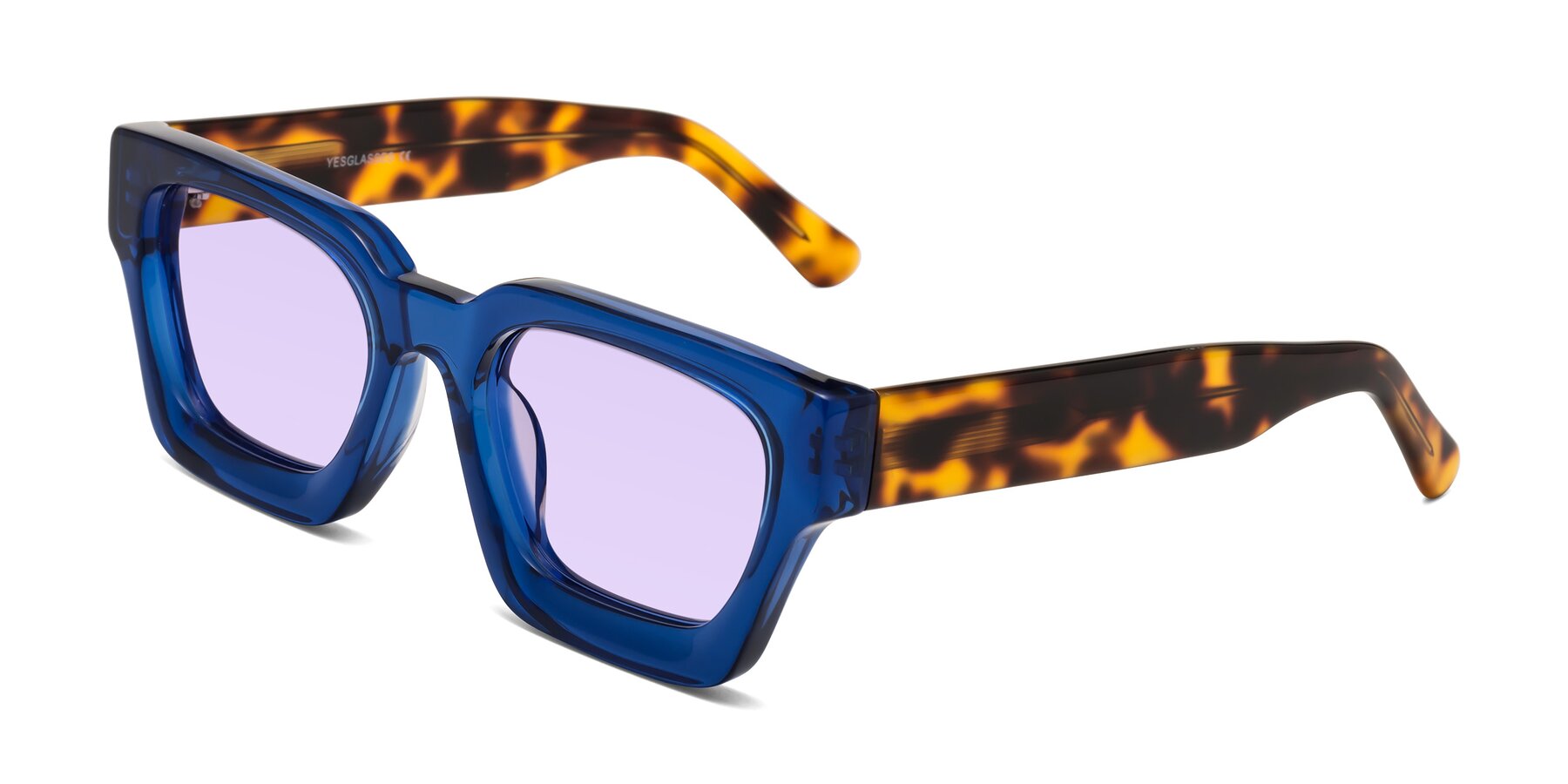 Angle of Powers in Blue-Tortoise with Light Purple Tinted Lenses
