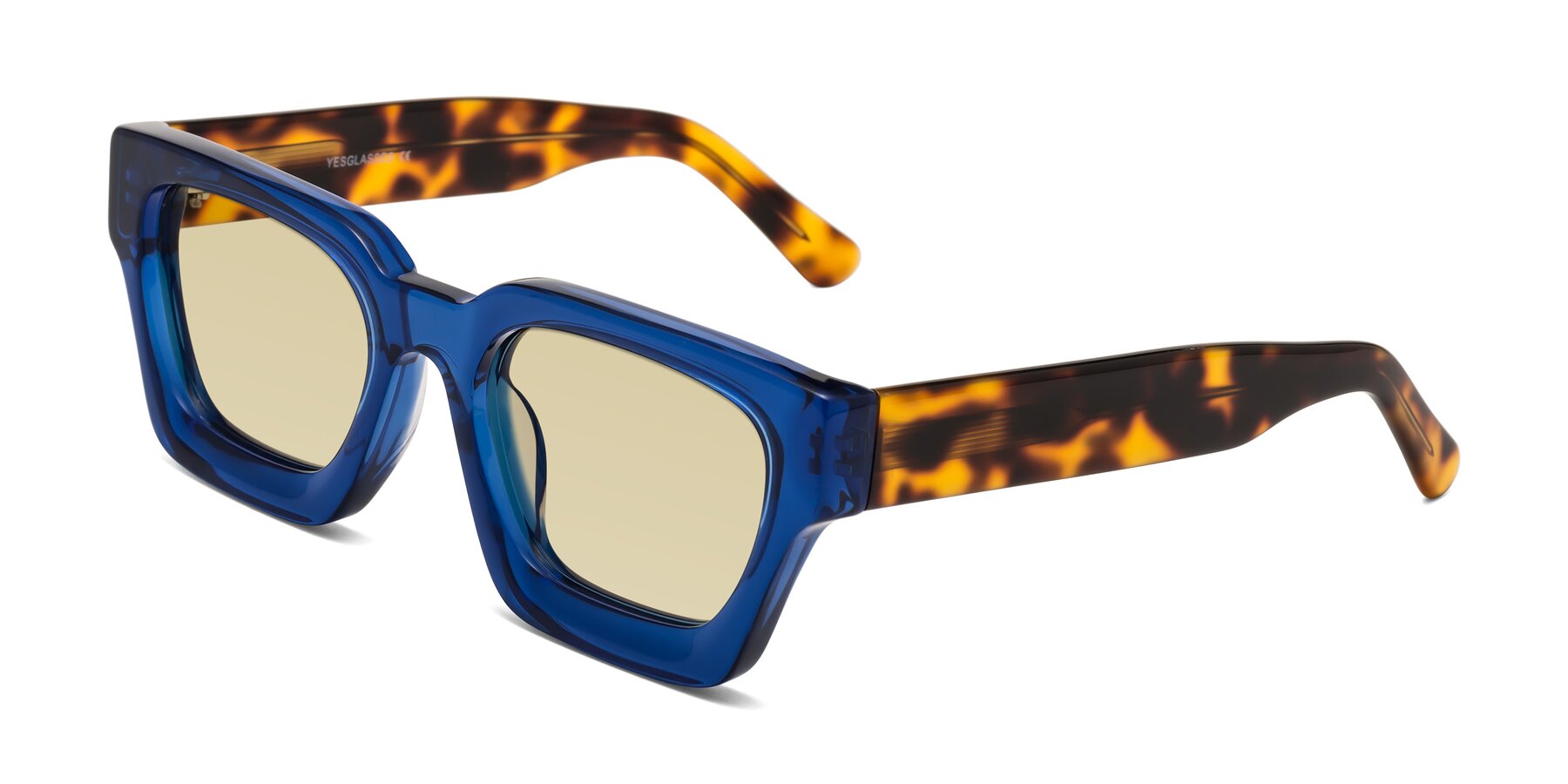 Angle of Powers in Blue-Tortoise with Light Champagne Tinted Lenses