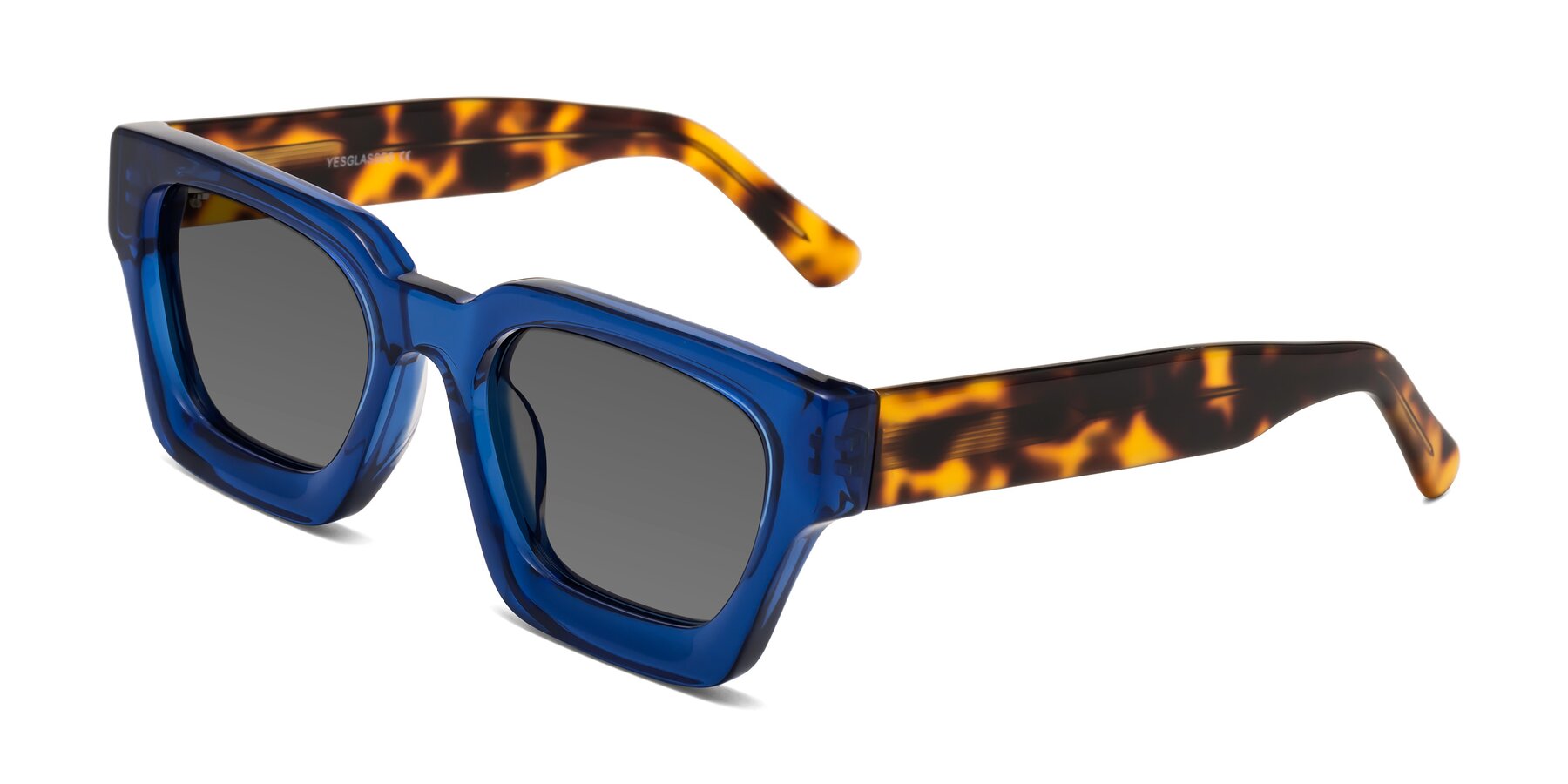 Angle of Powers in Blue-Tortoise with Medium Gray Tinted Lenses