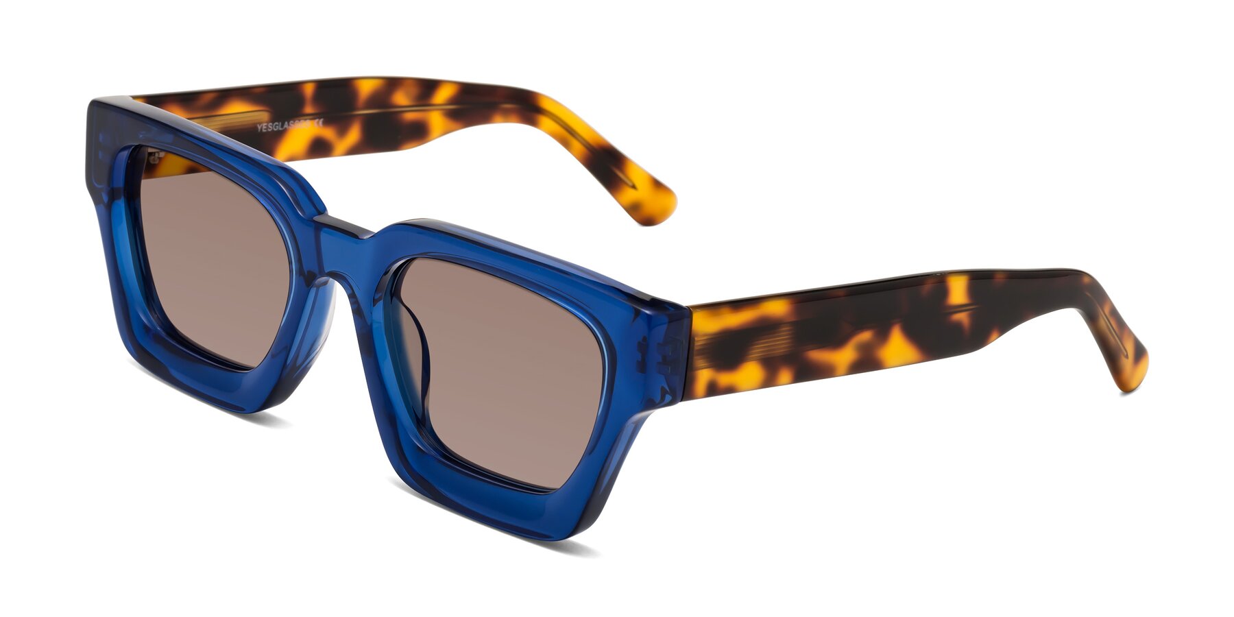 Angle of Powers in Blue-Tortoise with Medium Brown Tinted Lenses