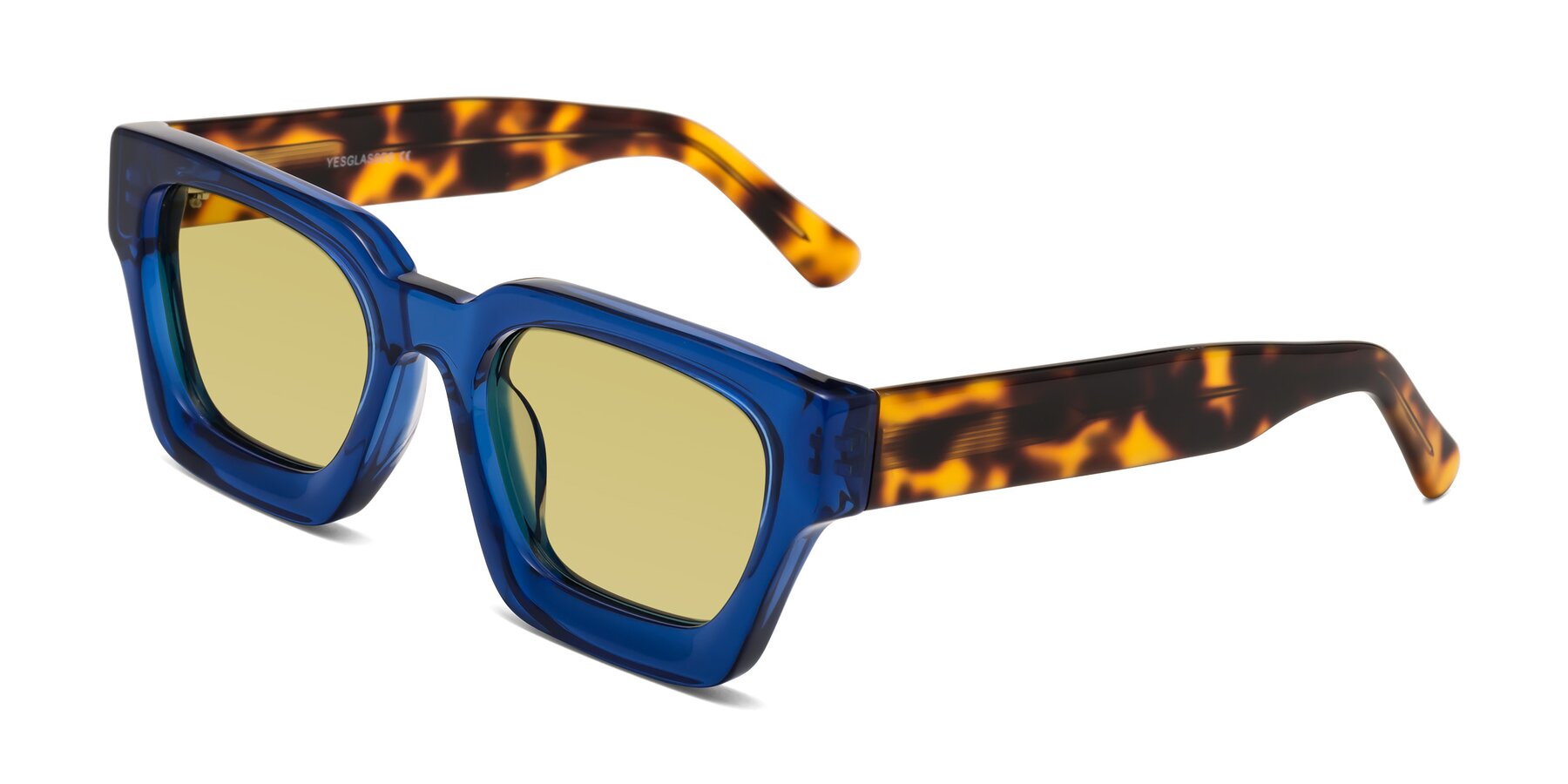 Angle of Powers in Blue-Tortoise with Medium Champagne Tinted Lenses