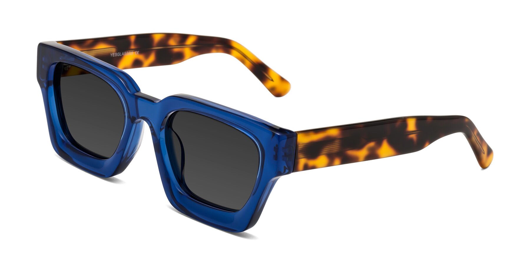 Angle of Powers in Blue-Tortoise with Gray Tinted Lenses