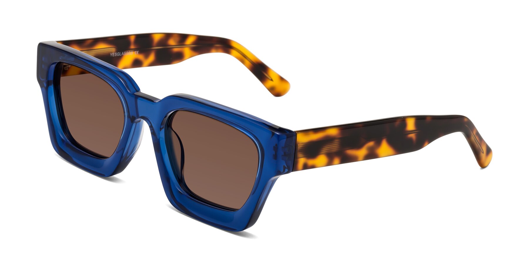 Angle of Powers in Blue-Tortoise with Brown Tinted Lenses