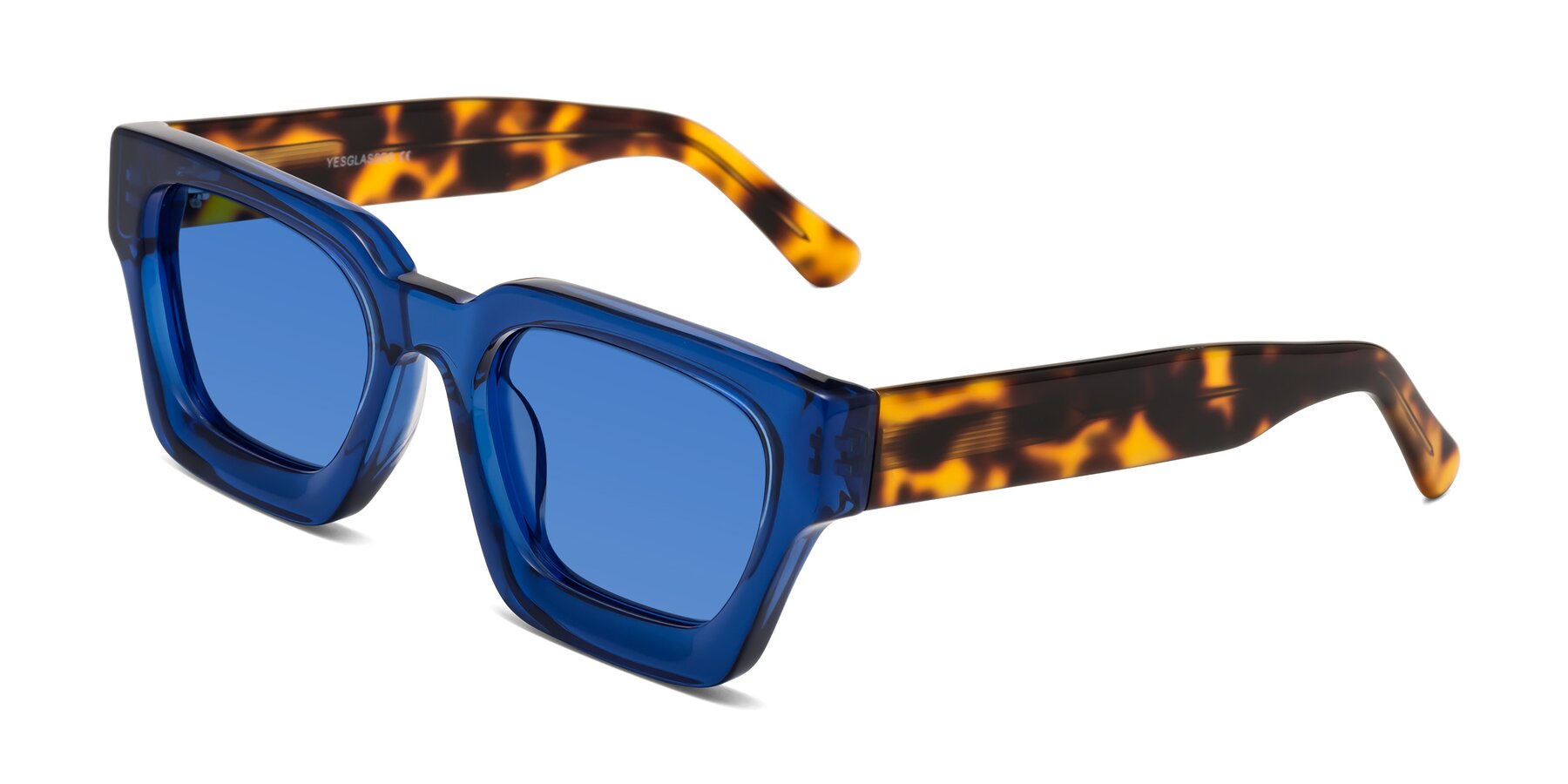 Angle of Powers in Blue-Tortoise with Blue Tinted Lenses